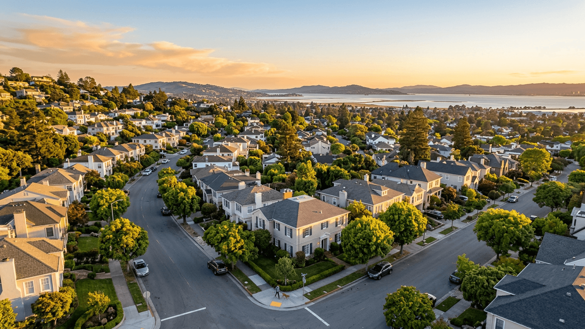 Belmont cityscape